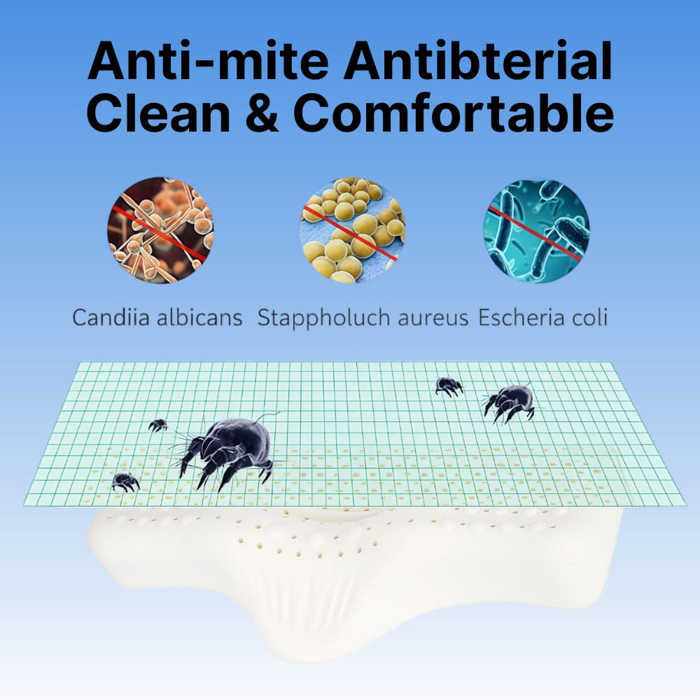 Shaped Natural Latex Neck Pillow with Breathable Design for Neck Pain Relief 1