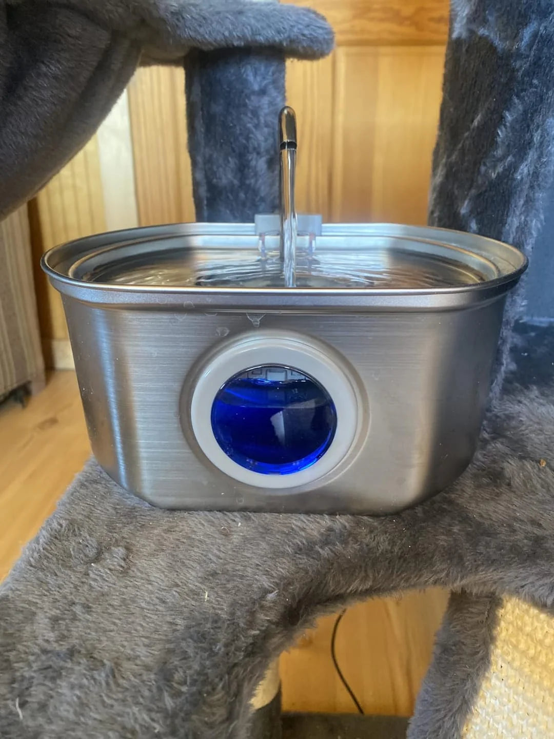 Metal water fountain with blue light on a cat tree