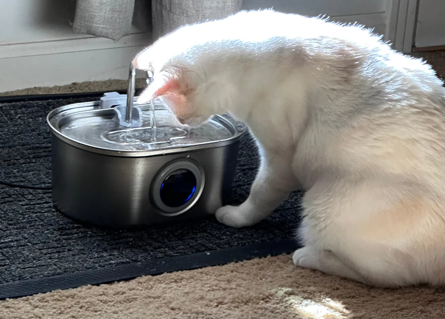 White cat drinking water from a metal pet fountain on a carpeted floor.