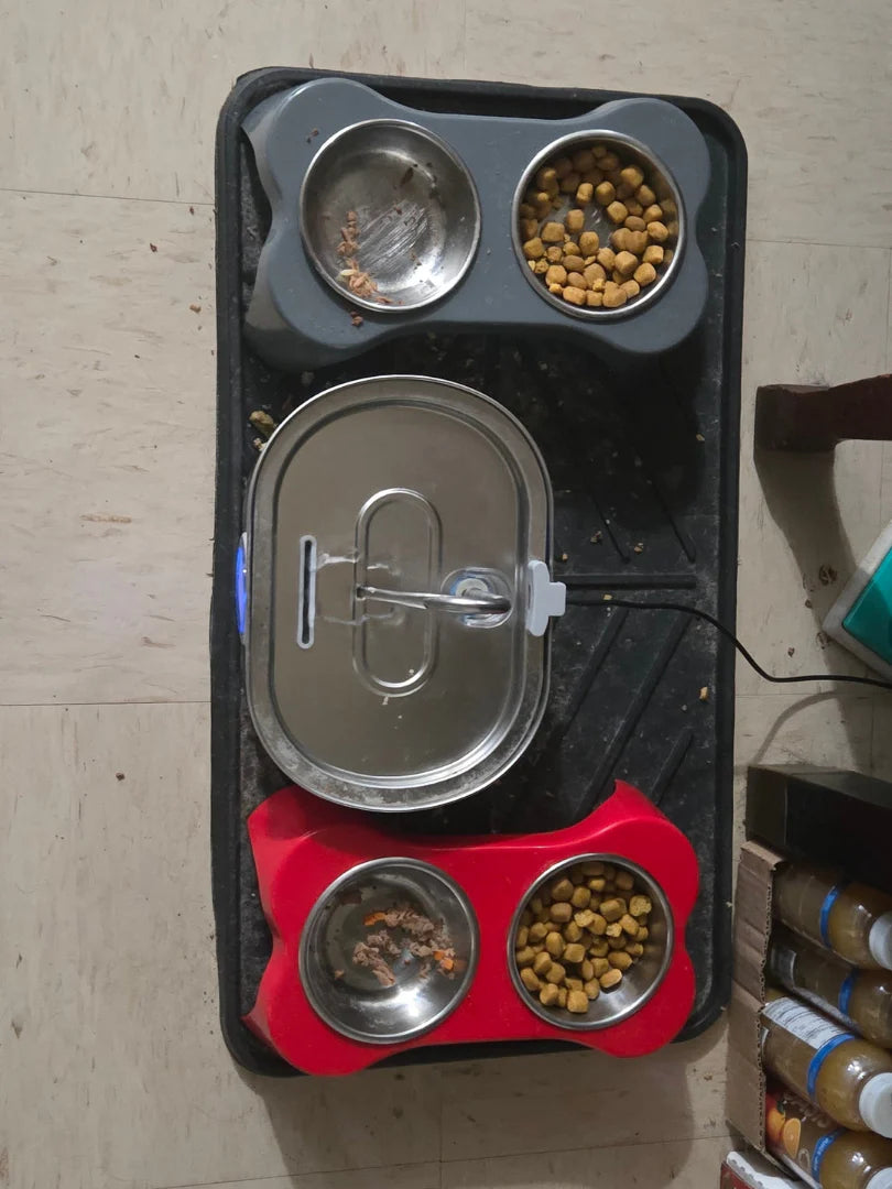 Pet feeding station with multiple bowls on a concrete floor